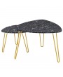 [84 x 83 x 46]cm Marble Iron Foot Coffee Table Side Table Set of 2 Black