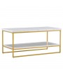(106 x 50 x 48cm) Simple Double-layer Golden Iron Pipe Marble PVC Coffee Table Rectangular