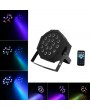 24W 18-RGB LED Auto / Voice Control DMX512 High Brightness Mini Stage Lamp (AC 100-240V) Black *10