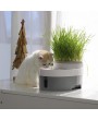 105oz/3.0L Automatic Cat Water Fountain Dog Water Dispenser with food bowl for Cats, Dogs